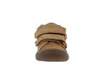 star  64 marron - Photo