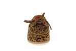 22345 velours leopard tan - Photo
