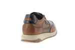 f2530  camel - Photo