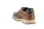 f2530  camel - Photo