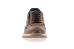 f2530  camel - Photo