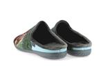 6776  gris - Photo