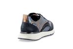 caryta velours bleu p5150400 - Photo
