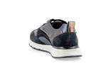 caryta velours bleu p5150400 - Photo