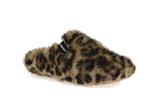 york feline natural - Photo