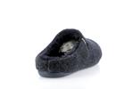eagle picos pet tone marine - Photo