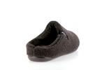 eagle picos pet tone marron - Photo