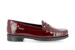 neda verni oxblood p5148151 - Photo
