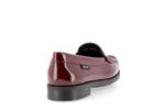 neda verni oxblood p5148151 - Photo
