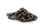 6532  leopard - Photo