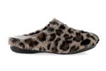 6532  leopard - Photo
