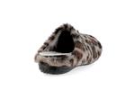 6532  leopard - Photo