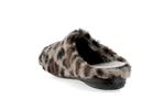 6532  leopard - Photo