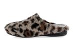 6532  leopard - Photo
