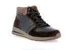 boran  dark brown p5150196 - Photo