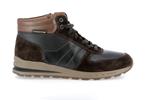 boran  dark brown p5150196 - Photo