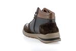 boran  dark brown p5150196 - Photo
