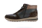boran  dark brown p5150196 - Photo