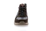 boran  dark brown p5150196 - Photo