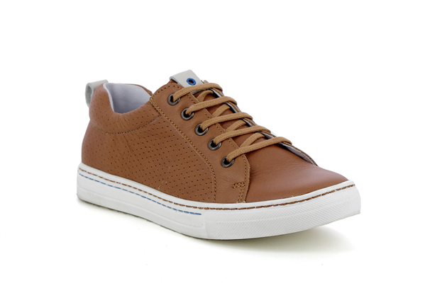 kain  camel - Photo 1