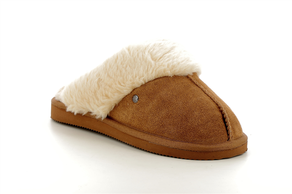 97282  camel - Photo 1