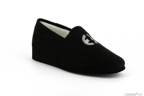 labrode  noir - Photo 1