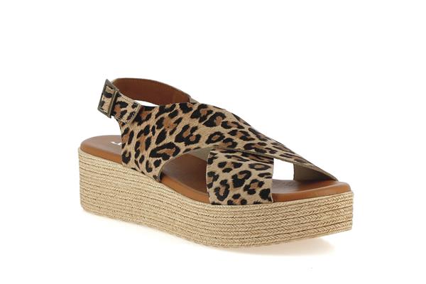 2041  leopard - Photo 1