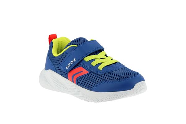 sprintye a  bleu royal rouge c0833 - Photo 1