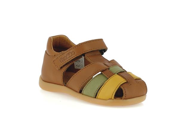 dany  8 brown + - Photo 1