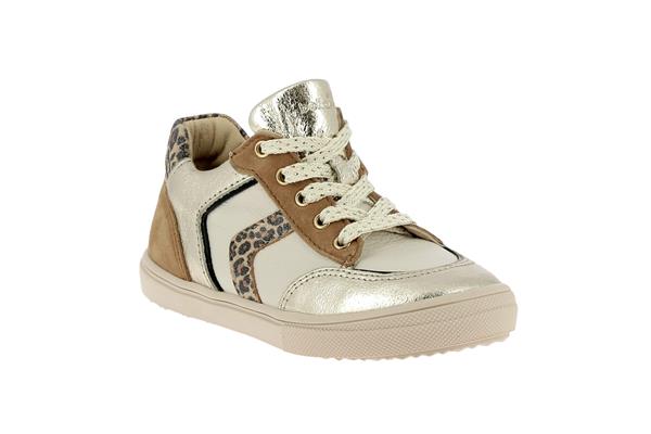 copi  or leopard - Photo 1
