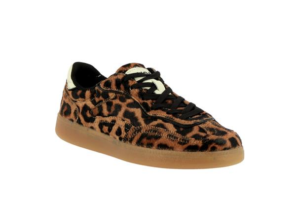 alley  leopard - Photo 1