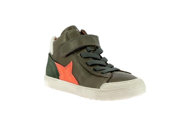 aster  2 vert fonce - Photo 1