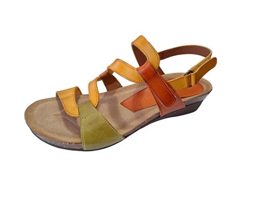 2164  multi mais - Photo 1