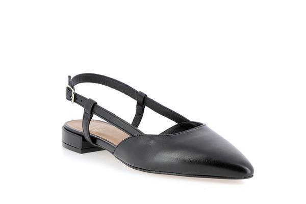 45621  noir - Photo 1