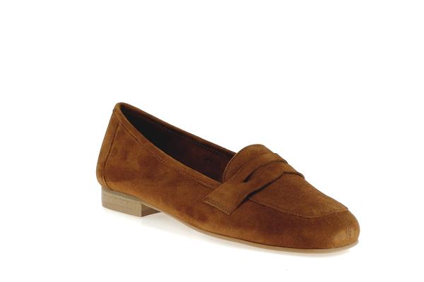 11029  camel - Photo 1