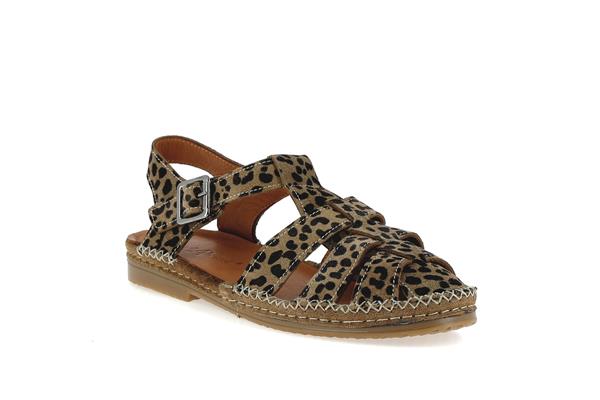 magescq akin suet biscuit - Photo 1