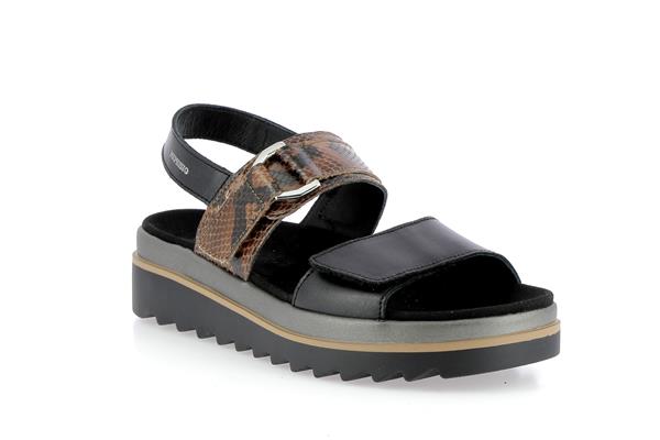 dakota  noir p5149422 - Photo 1