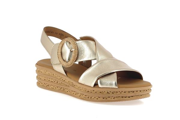 84556  62 champagne - Photo 1