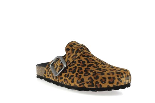 rio leo bronze - Photo 1