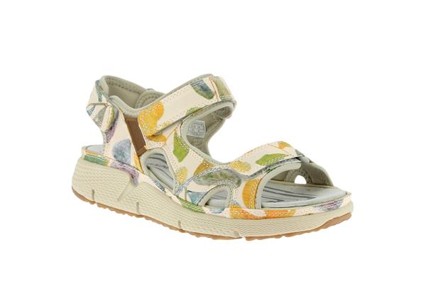 its me  camel p2008635 - Photo 1