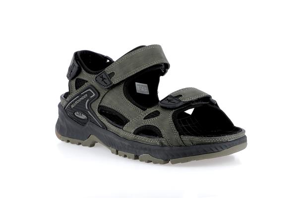 honduras  olive night p2008648 - Photo 1