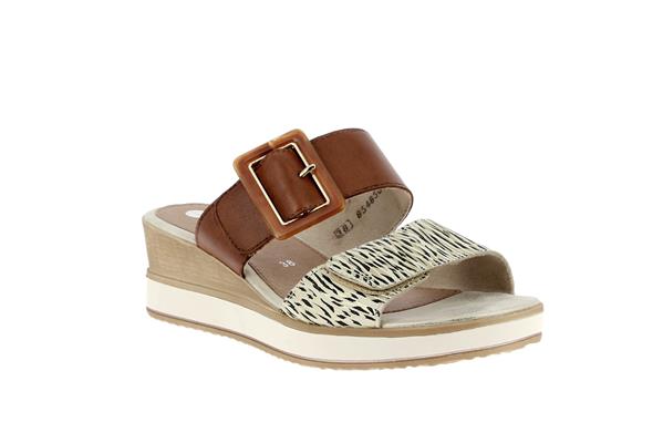 d6463  24 beige or muskat - Photo 1