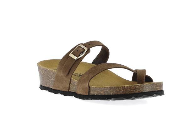 3606  cuero - Photo 1