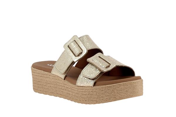 2175  champan - Photo 1