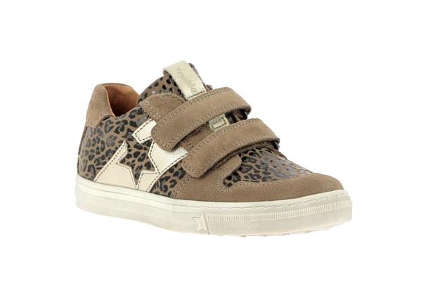 dolvy  14 beige + - Photo 1