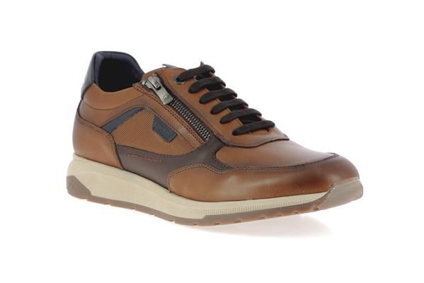 f2530  camel - Photo 1